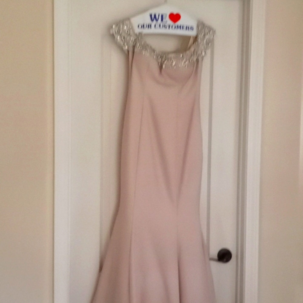 Magnificent  blush  gown